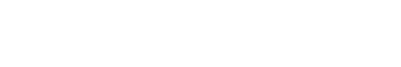 Fondo